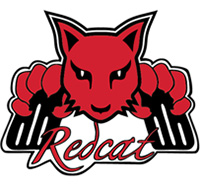 RedCat Racing